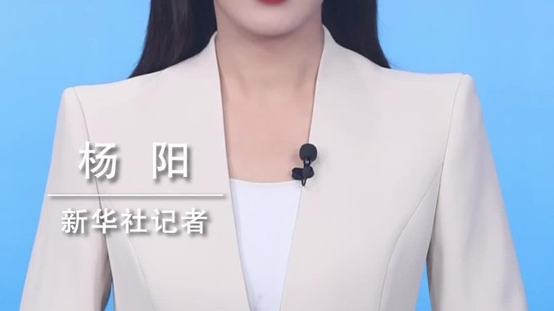 金融行业数据中台：构建高效大数据平台的五大关键要素